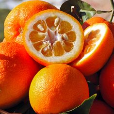 Eau de Toilette Orange Bigarade